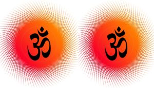 संस्कृत भाषा र यस्को उत्पत्ति
