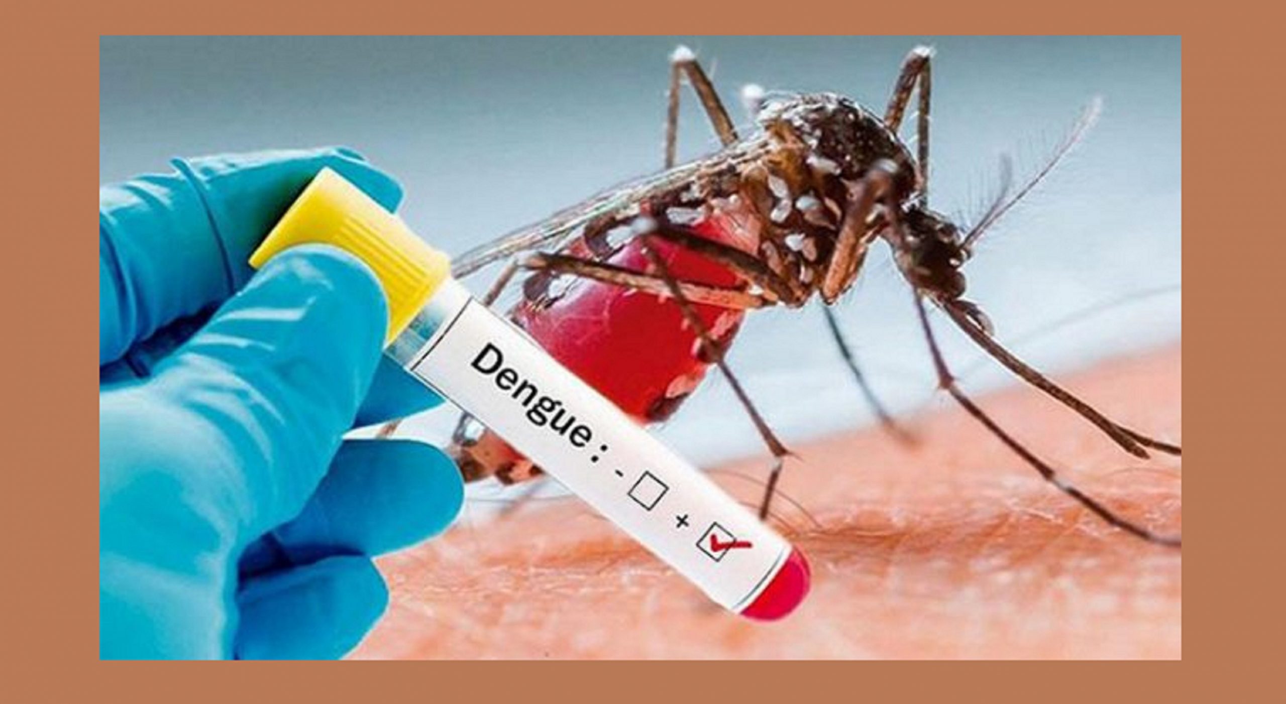 वीरेन्द्रनगरका ३३ जनामा डेंगु रोगको संक्रमण
