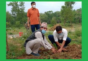 विश्व वातावरण दिवसका दिन सामुदायिक वन क्षेत्रमा वृक्षरोपण