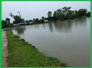 कर्णाली र बबई नदीमा पानी बढेसँगै बर्दियाका ५०० घर डुबानमा