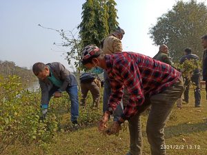 सिमसार दिवसमा वृक्षारोपण र सरसफाई