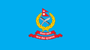 सशस्त्र प्रहरीका १२ जना उपरीक्षकलाई वरिष्ठ उपरीक्षकमा बढुवा गर्न सिफारिस (सूचीसहित)