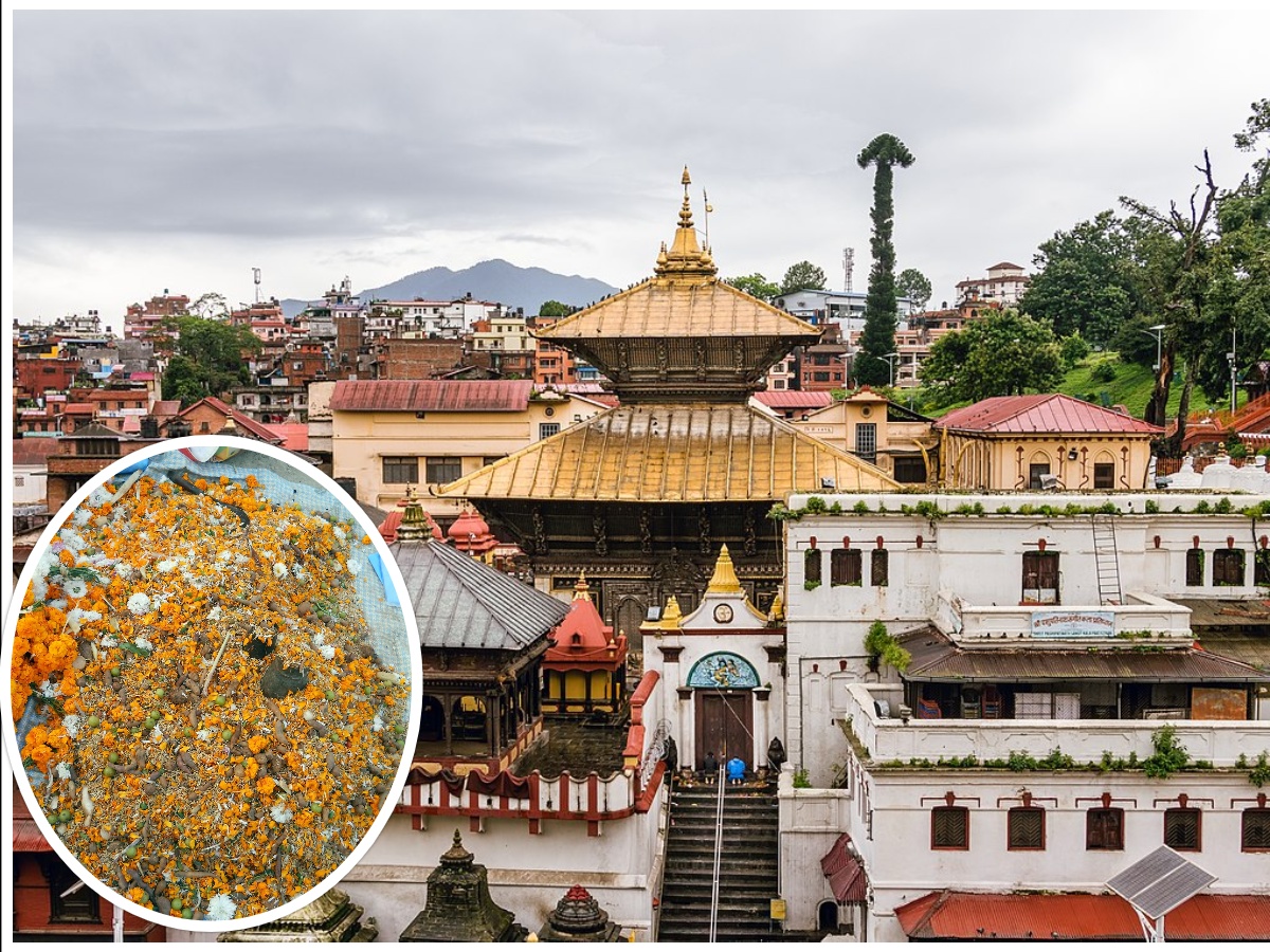 पशुपतिमा बालाचर्तुदशीको तयारी पूरा